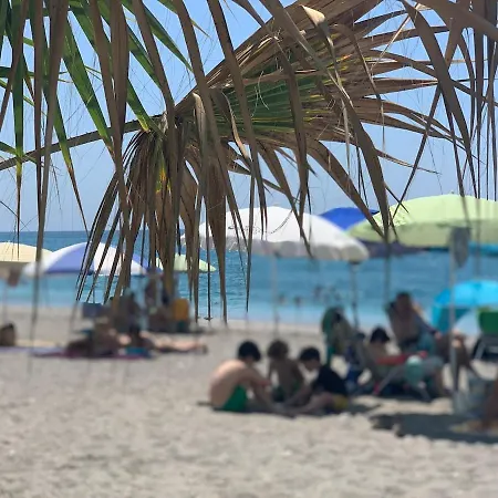 Sb Royal Palm 20 Daire