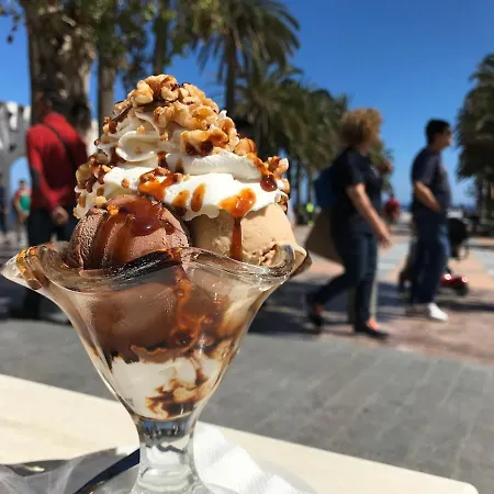 Sb Royal Palm 20 ネルハ