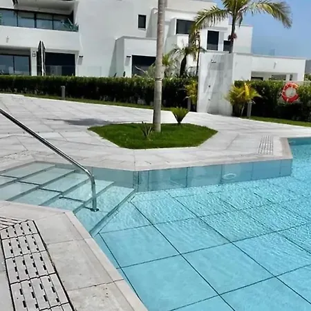Sb Royal Palm 20